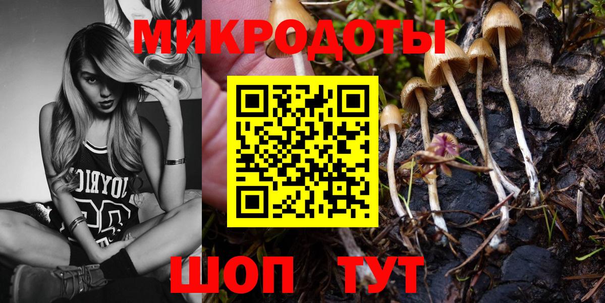 Галлюциногенные грибы MAGIC MUSHROOMS Знаменск