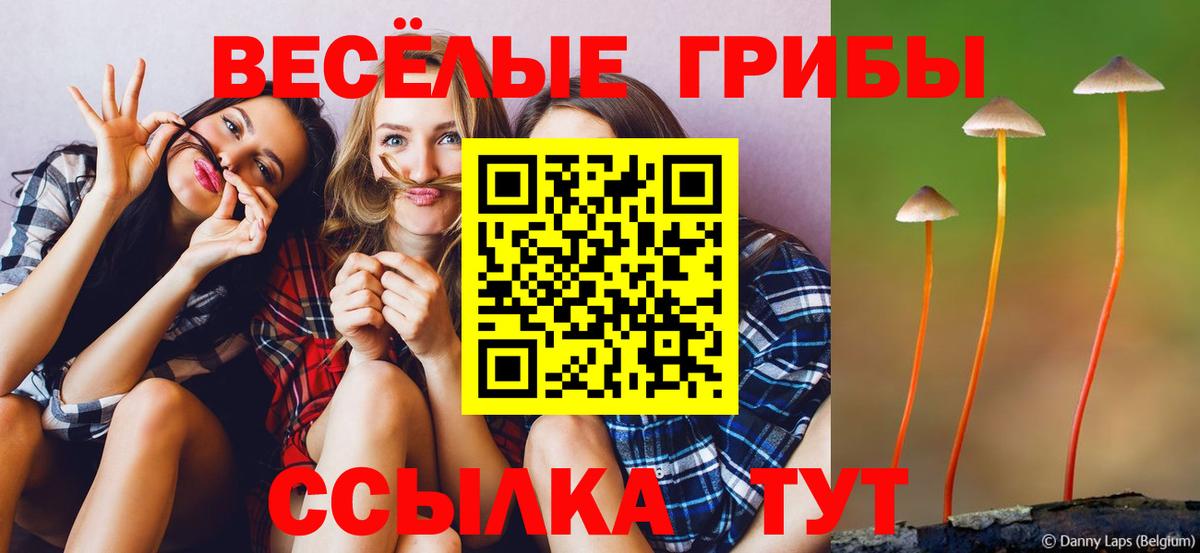 Знаменск  Псилоцибиновые грибы Magic Shrooms  Вход с VPN  Галлюциногенные грибы мухоморы 